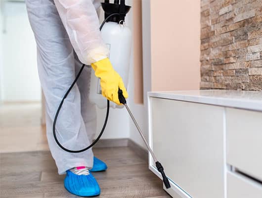 Is professional pest control safe for my family and pets?