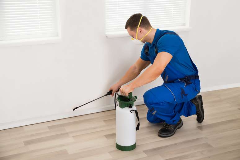 Pest Disinfection Service and Home Sanitization