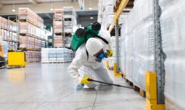 Pest Control in Food Industry – Everything You Need to Know