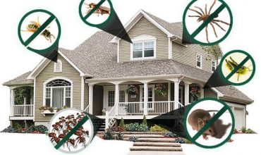 Advantages Of Having a Pest Free Home￼