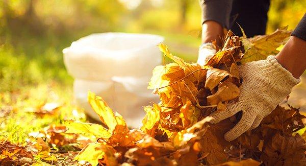 Autumn Pest Prevention Tips 2022